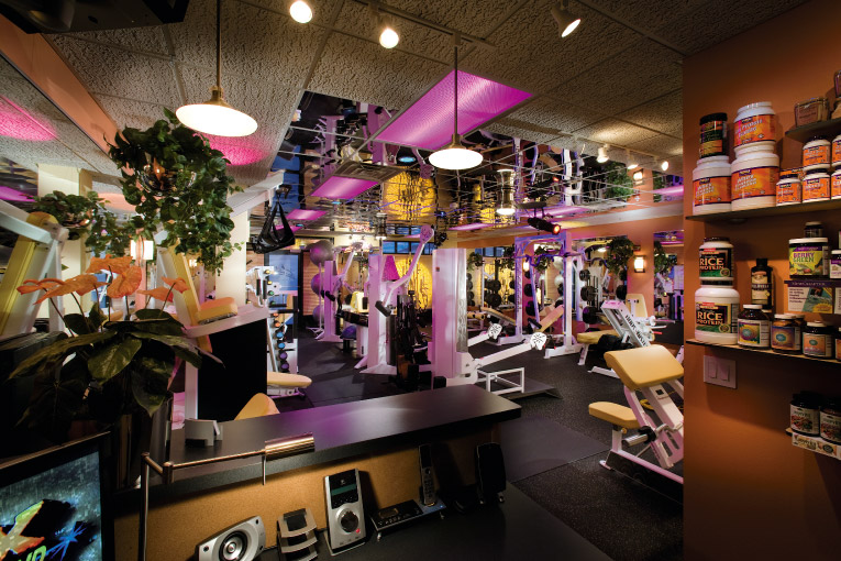 Body Mechanix Interior 2