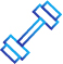 Personal Training Icon